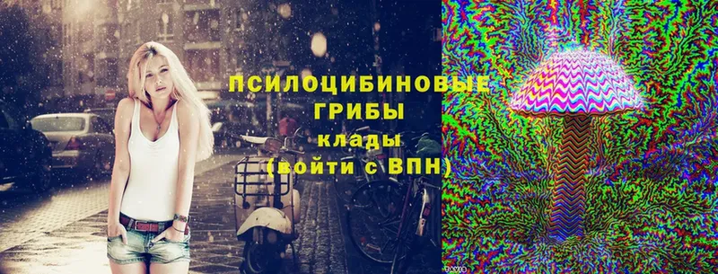 omg зеркало  Карабаново  Псилоцибиновые грибы Psilocybe 